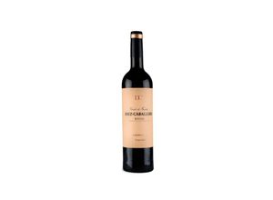 8437004757111 - Diez-Caballero Reserva 2017 - 75cl