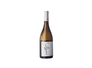 8437005295070 - Celler Jordi Miró Jordi Miró Garnatxa Blanca 2023 - 75cl