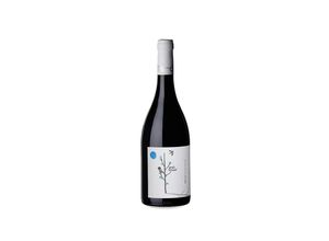 8437005295087 - Celler Jordi Miró Jordi Miró Garnatxa Syrah 2021 - 75cl