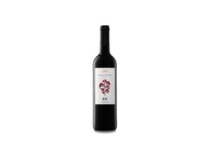 8437005904538 - Bodegas Laus Laus Garnacha Barrica 2021 - 75cl