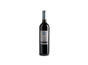 8437006711203 - Celler Vall-Llach Embruix de Vall-Llach 2021 - 75cl