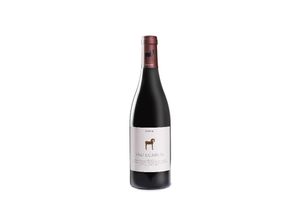 8437006874342 - Pago de Vallegarcía Vallegarcía Syrah 2021 - 75cl