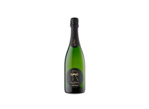 8437006878401 - Can Descregut Descregut Brut Nature Reserva 2019 - 75cl