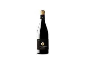 8437008054131 - Selecció Vi de Finca Qualificada El Mas 2019 - 75cl