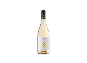 8437008054308 - I TANT Vins I TANT Garnacha Blanca 2022 - 75cl