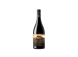 8437008635958 - Proyecto Garnachas de España La Garnacha Olvidada de Aragón 2020 - 75cl