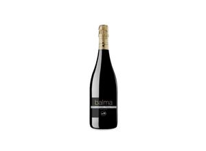 8437009563014 - Mas Bertran Balma Reserva Brut Nature 2016 - 75cl