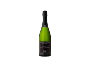 8437010355189 - Colet Vatua! Extra Brut 2019 - 75cl