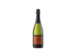 8437010355356 - Colet Navazos Brut Nature 2019 - 75cl