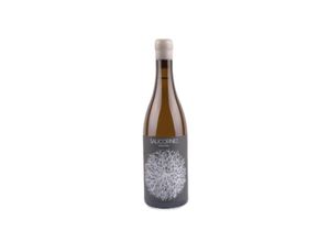 8437010800313 - Casa Balaguer - Vinessens Casa Balaguer Salicornio Moscatel 2023 - 75cl