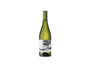 8437011562531 - Finca La Melonera Encina del Inglés Blanco 2023 - 75cl