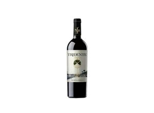 8437012278226 - Bodegas Tridente Tridente Tempranillo 2020 - 75cl