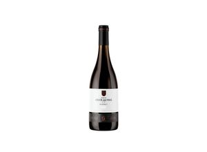 8437012371019 - Oller del Mas Bernat Oller 2019 - 75cl