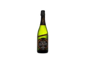 8437012480971 - Vía de la Plata Brut Nature - 75cl