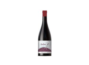 8437012917439 - Abanico Lo Cometa Tinto 2021 - 75cl