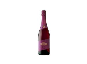 8437014482041 - Maria Rigol Ordi Rosat Reserva 2019 - 75cl