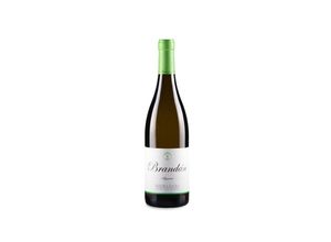 8437014579024 - Algueira Brandán Godello 2022 - 75cl