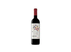 8437020972055 - Viñedos Singulares Jardín Rojo 2019 - 75cl