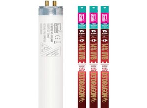 8440460122584 - - D3+ Dragon T5 Leuchtstoffröhre - 24W (550mm)