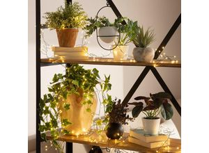 8445044038114 - Ledkia - LED-Girlande Piner 6m WarmweißWarmweiß 2700K - 3000K