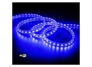 8445044076031 - Ledkia - LED-Streifen Smart Wifi 220V ac 60 LED m Blau IP65 nach Mass Breite 14 mm Schnitt alle 100 cm 120º 4m
