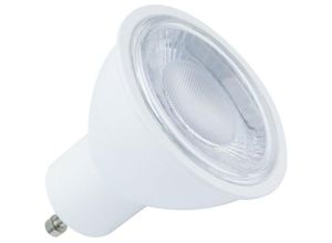 8445044097302 - LED-Glühbirne Dimmbar GU10 S11 7W 560 lm 60º WarmweißWarmweiß 3000K No Flicker