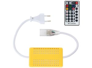 8445044102426 - Efectoled - Controller led Lichtschläuche rgb 220V  Fernbedienung rf 28 Tasten