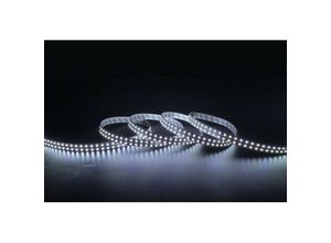 8445044112708 - Ledkia - LED-Streifen Doppelt 12V dc 204 LEDs m 5m IP20 Breite 14mm Schnitt alle 3cm Kaltes Weiß 5000K 120º5 m