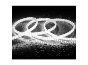 8445044129720 - LED-Streifen 220V SMD2835 120LEDs m Kaltweiss IP65 Breite 12mm Schnitt alle 100cm Kaltweiß 6000K8 m