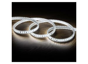 8445044155507 - LED-Streifen Dimmbar 220V ac Solid 120 LED m Kaltes Weiss IP65 nach Mass Breite 14mm Schnitt alle 10 cm Kaltweiß 6000K - 6500K1 m