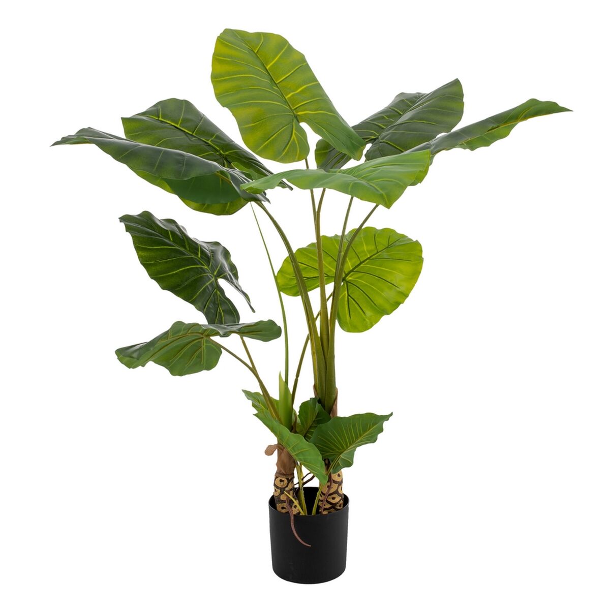 8445146021717 - Dekorationspflanze 80 x 90 x 140 cm grün Philodendron