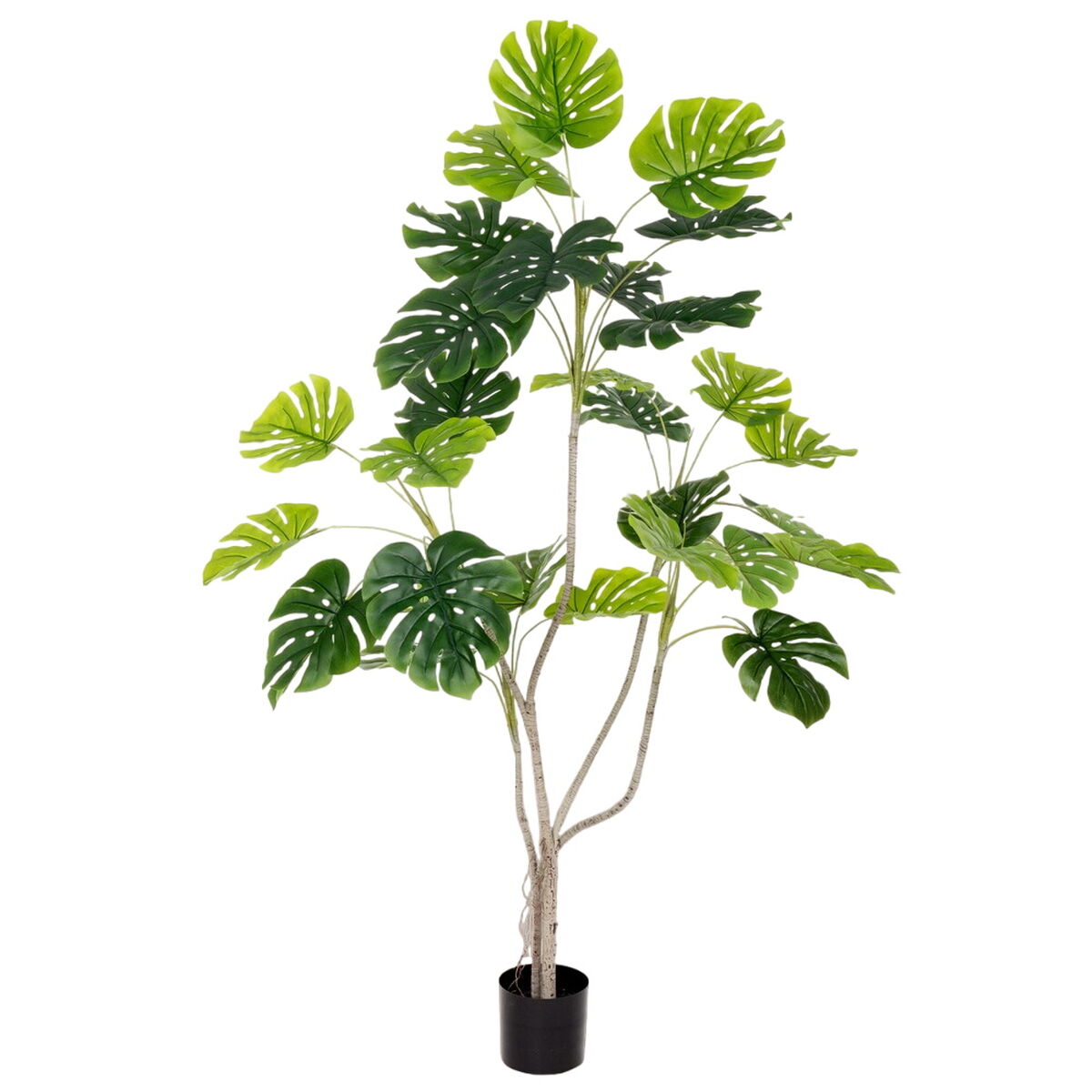8445147332249 - Dekorationspflanze Polyurethan Zement Monstera 180 cm 8445147332249 - Dekorationspflanze Polyurethan Zement Monstera 180 cm