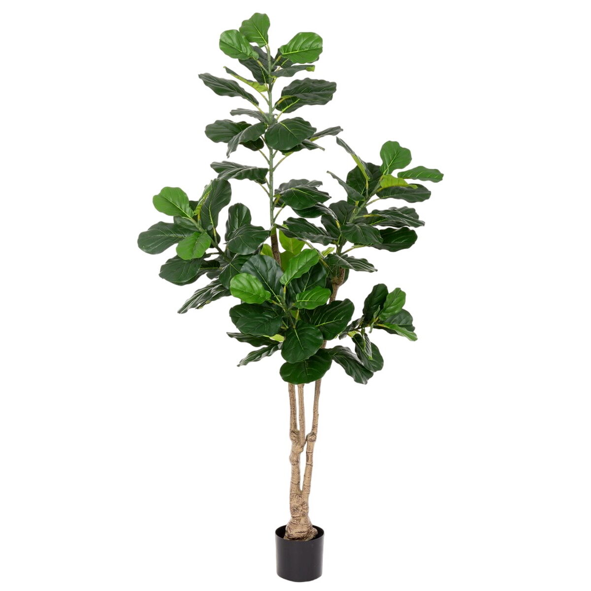 8445147332263 - Decorative Plant Polyurethane Cement Fig Tree 175 cm