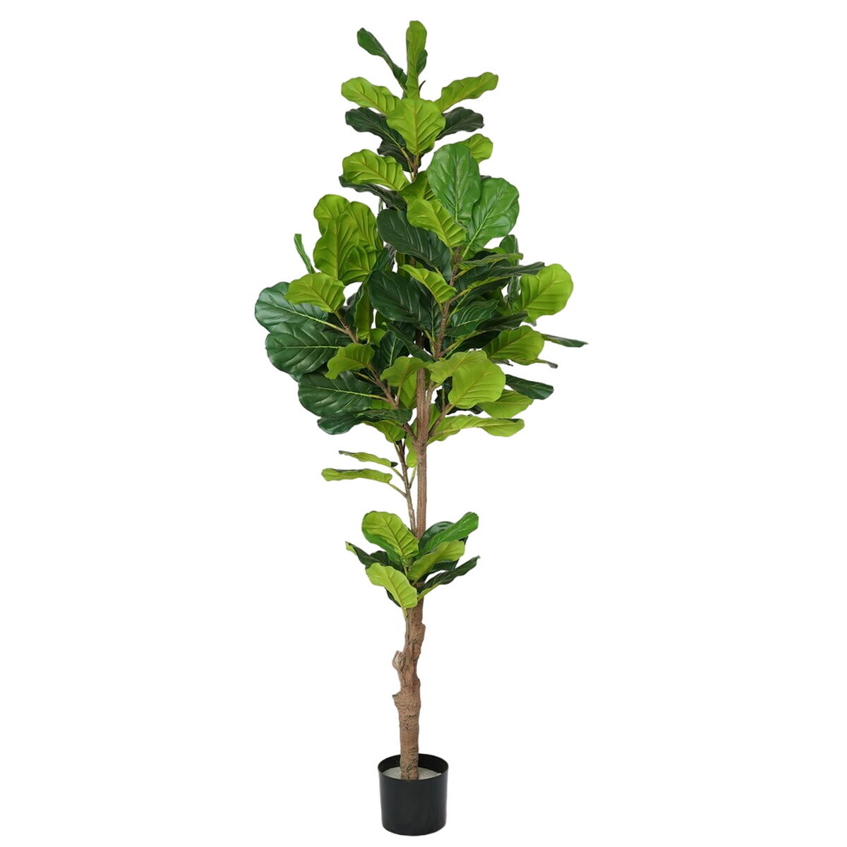 8445147332270 - Dekorative Pflanze Polyurethanzement Feigenbaum 200 cm 8445147332270 - Dekorative Pflanze Polyurethanzement Feigenbaum 200 cm