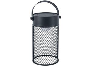 8445386825342 - Forlight - Tragbare schwarze Tischplatte von Rorer mit 3000 k warmweißer led 8445386825342 - Forlight - Tragbare schwarze Tischplatte von Rorer mit 3000 k warmweißer led