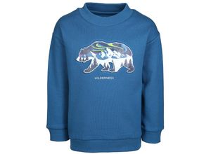 8445445958219 - - Sweatshirt WILDERNESS in atlantik Gr98