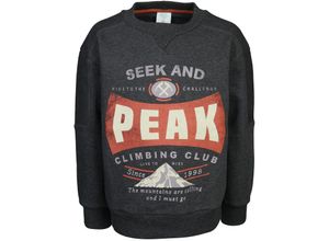 8445470066583 - - Sweatshirt PEAK in anthrazit Gr122