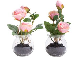 8505459249373 - Kunstblume »Rosen im Glas« Rose Botanic-Haus Höhe 16 cm rosa