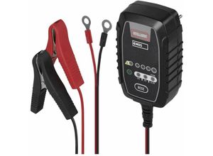 8592920049686 - Emos - Akku-Ladegerät für Auto Moto 6 12 128V 08A 18 m Kabel Akku-Schutz intelligentes Aufladen N1015