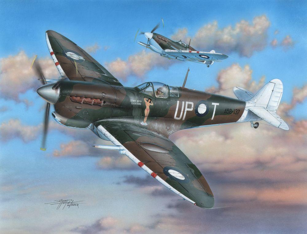 8594071082192 - Special Hobby 100-SH48100 - Spitfire MkVC RAAF Service in 148