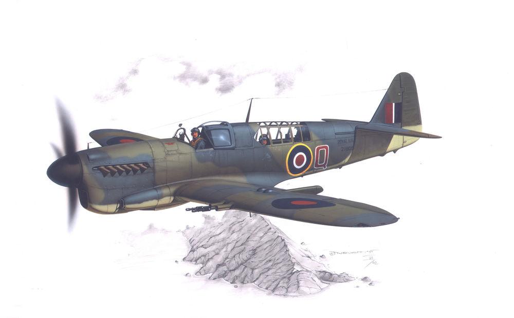 8594071083595 - Special Hobby 100-SH48127 - Fairey Firefly MkI Home Fleet in 148