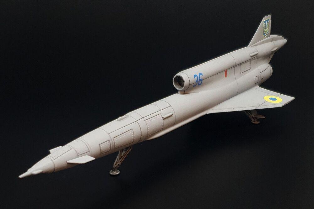 8595683910156 - Tu-141 Strizh
