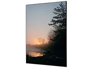 8596052182051 - Showdown Wanddekoration Set A2 Wald Sonnenaufgang 8596052182051 Showdown Displays