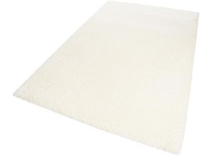 8681840072215 - Hochflor-Teppich WECON HOME Toubkal Teppiche Gr B L 120 cm x 170 cm 50 mm 1 St beige (naturfarben) Esszimmerteppiche