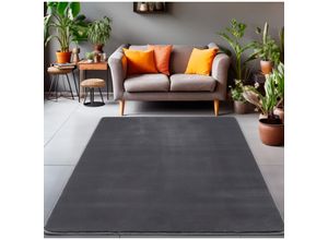 8682455395058 - Langflorteppich Unicolor - Monochrom ideal für Wohn- Ess- oder Schlafzimmer