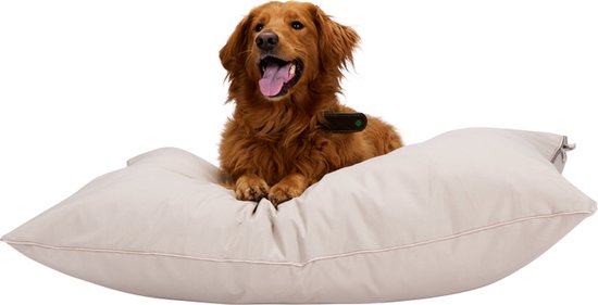 8711252501710 - Hundekorb - Hundekissen 70 x 100 cm - Hundebett - Hundekissen mit Reißverschluss - Polyester und Mikrofaser - Beige