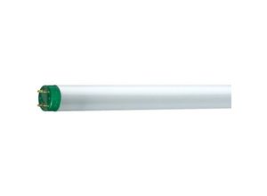 8711500264640 - Leuchtstoffröhre master tl-d Eco - T8 865 Tageslicht - 32W (1200mm) - Philips