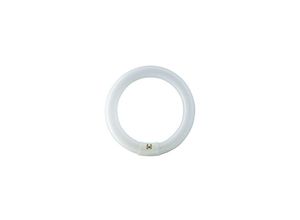 8711500284761 - - Philips Leuchtstoffröhre master tl-e Circular - C-T9 830 Warmweiß - 40W