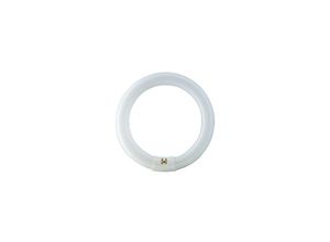 8711500559685 - Leuchtstoffröhre master tl-e Circular - C-T9 840 Neutralweiß - 32W - Philips