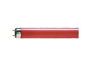 8711500727480 - Leuchtstofflampe 36W rt Colored e G13 55lm Ø28mm 12136mm 150 TL-DCOLORED36WRED1SL 25 - rot - Philips